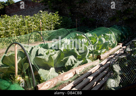 Bereleigh Estate cuisine jardin. Banque D'Images