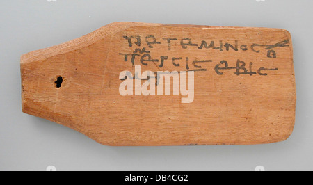 Cette étiquette d'inscription d'une momie comporte un texte bilingue, offrant un aperçu des pratiques funéraires égyptiennes anciennes. Le caractère bilingue de l'inscription reflète l'interaction des différentes langues culturelles à l'époque. Banque D'Images