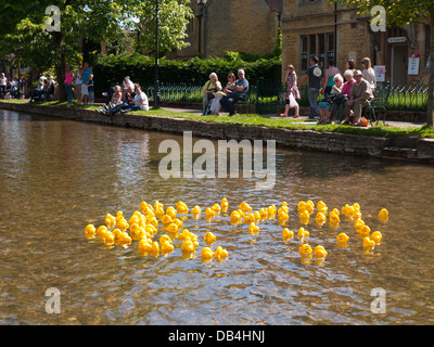 Canards en caoutchouc 'racing' down la paisible rivière Windrush, Bourton On The Water, Gloucestershire. Banque D'Images