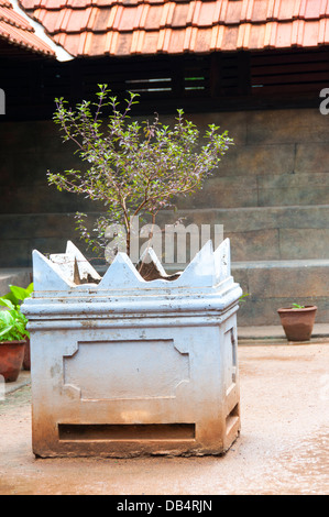 Le basilic sacré est en face d'une maison traditionnelle dans une cour en Inde Banque D'Images