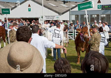 Agriculteurs et bétail à la parade du bétail en été Great Yorkshire Show Harrogate North Yorkshire Angleterre Royaume-Uni GB Grande-Bretagne Banque D'Images