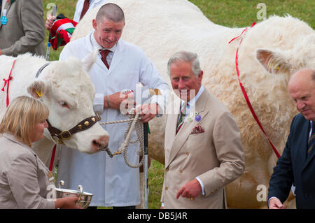 Llanelwedd, Powys, au Royaume-Uni. 24 juillet 2013. Le Prince visite l'anneau de bovins. Le Prince de Galles, un ancien président de la Royal Welsh Agricultural Society (RWAS), et la duchesse de Cornouailles assister au Royal Welsh Show au milieu du Pays de Galles. C'est le Prince Charles du 7ème visite à Llanelwedd, où la plus grande foire agricole en Europe est tenu, mais pour la duchesse c'est son premier. Crédit photo : Graham M. Lawrence/Alamy Live News. Banque D'Images