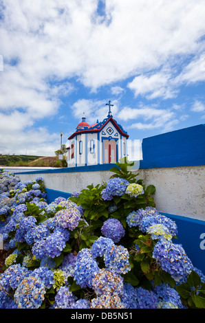 Ermida de Nossa Senhora do Monte sur Pico de Cima, Água de Pau, São Miguel, Açores. Grandes plantes hydrangea en fleurs en premier plan Banque D'Images