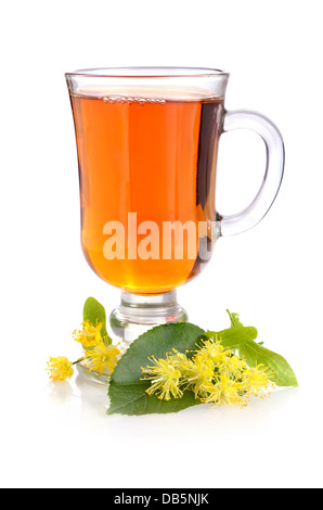 Linden plateau en verre tasse avec des fleurs de tilleul sur un fond blanc Banque D'Images