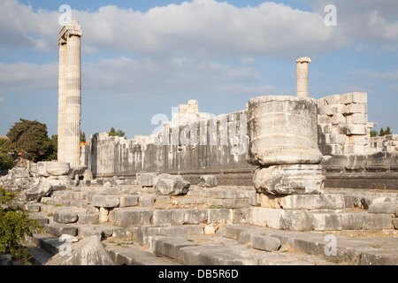 Temple d'apollon, zone archéologique, didymes, le sud de la côte égéenne, la Turquie, l'Asie Banque D'Images