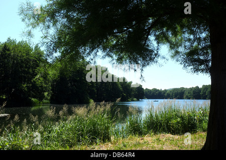 Pays de lullingstone parc kent uk 2013 Banque D'Images