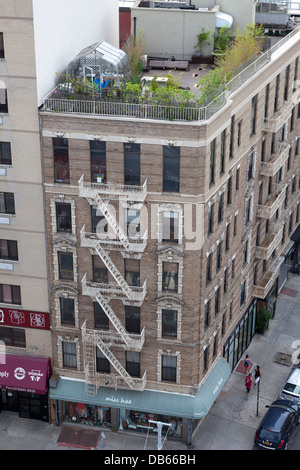 Jardin et une serre sur le toit d'un immeuble à appartements sur le Bowery à New York City Banque D'Images