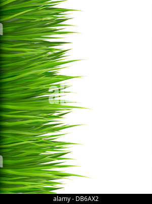 Nature fond avec l'herbe verte. Vecteur. Banque D'Images