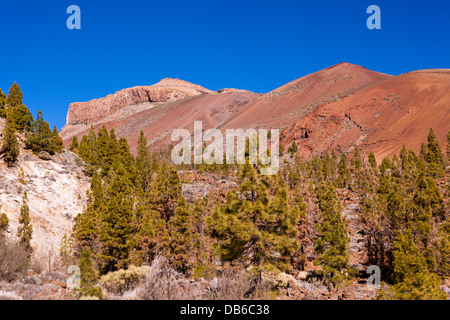 Randonnée à Paisaje Lunar près de Vilaflor, Tenerife, Canaries, Espagne Banque D'Images