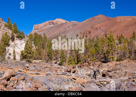 Randonnée à Paisaje Lunar près de Vilaflor, Tenerife, Canaries, Espagne Banque D'Images