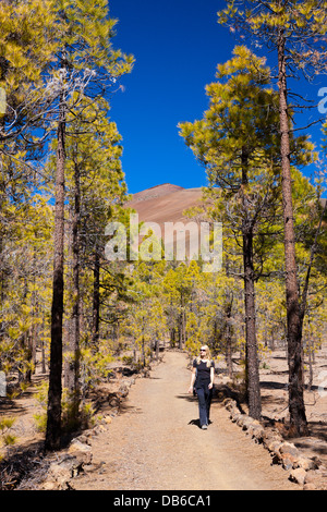 Randonnée à Paisaje Lunar près de Vilaflor, Tenerife, Canaries, Espagne Banque D'Images