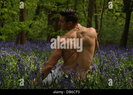 Un modèle masculin assis dans un champ de lavande. Banque D'Images