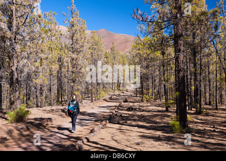 Randonnée à Paisaje Lunar près de Vilaflor, Tenerife, Canaries, Espagne Banque D'Images