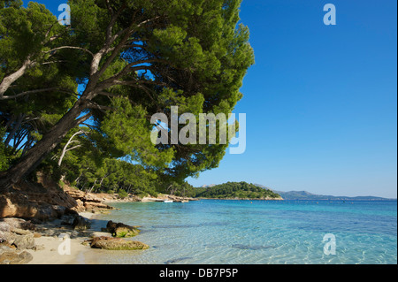 Plage de Playa de Formentor Banque D'Images