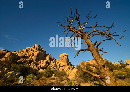 La grande Burrito, une monzogranit rock formation, Hidden Valley Banque D'Images