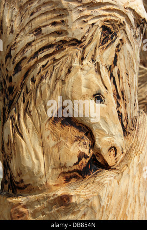 Cheval de bois Sculpture sur un tronc d'arbre sur les attractions touristiques de l'île Llanddwyn, Anglesey Banque D'Images