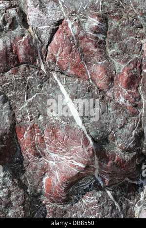Jaspe rouge sur l'île Llanddwyn Banque D'Images