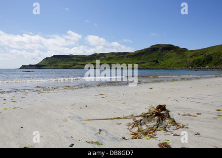 Calgary Bay sur l'île de Mull avec la marée jusqu'à la plage de sable Banque D'Images