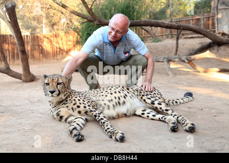 Le guépard et interagissant à Cango Wildlife Ranch à Oudtshoorn, Petit Karoo Banque D'Images