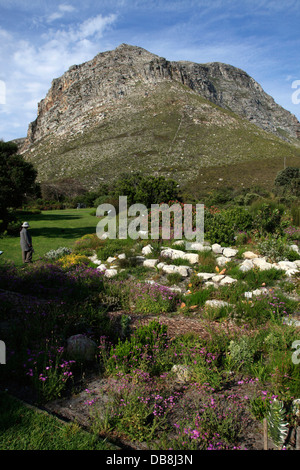 Harold Porter National Botanical Gardens, près de Betty's Bay, d'Overberg Banque D'Images