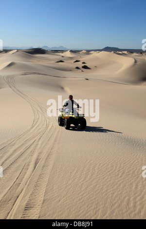 Quad dans les dunes sur la côte ouest, Afrique du Sud Banque D'Images