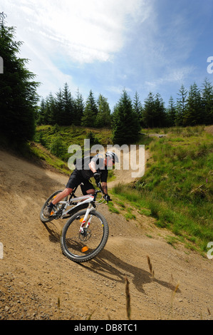 Du vélo de montagne à Gisburn Forest Banque D'Images