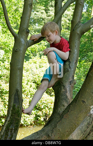 Jeune garçon dans un arbre Banque D'Images