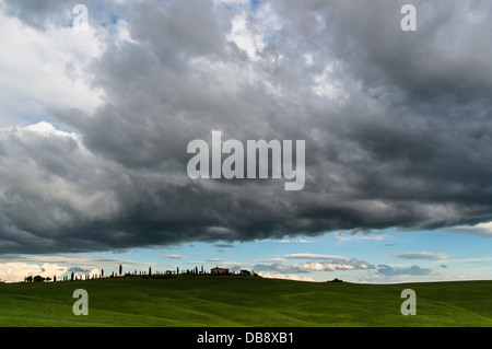 Paysage typiquement toscan avant une tempête éclate Banque D'Images