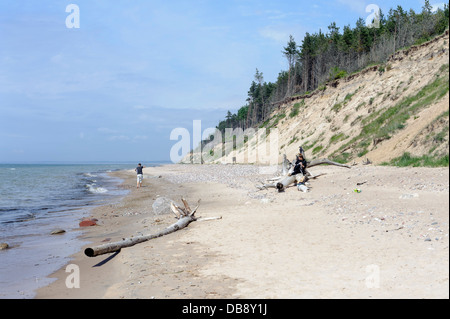 Plage et falaises de la côte, de la Lettonie, de l'Europe Jurkalne Banque D'Images