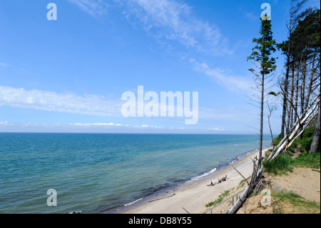 Plage et falaises de la côte, de la Lettonie, de l'Europe Jurkalne Banque D'Images