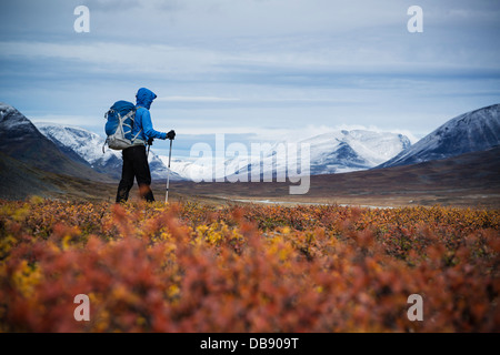 Female hiker avec ses montagnes couvertes de neige et de couleurs d'automne dans le sud de fin de Tjäktjavagge sur Kungsleden trail, Laponie, Suède Banque D'Images