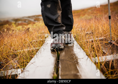 Détail de chaussures de randonnée marche sur des planches de bois dans la pluie le long kungsleden trail, Laponie, Suède Banque D'Images