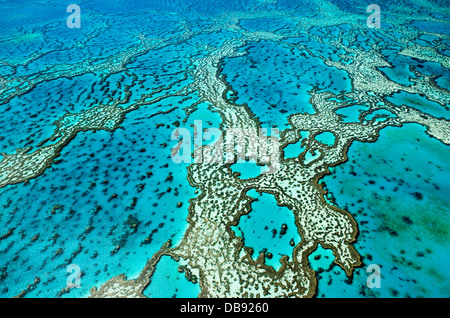 Vue aérienne de formations coralliennes au récif Hardys. Great Barrier Reef Marine Park, Whitsundays, Queensland, Australie Banque D'Images