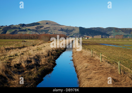 Canal de drainage et clôturé, bande riveraine, près de plaines Taieri Dunedin, île du Sud, Nouvelle-Zélande Banque D'Images