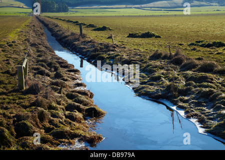 Canal de drainage et en partie clôturé bande riveraine Taieri, plaines, près de Dunedin, île du Sud, Nouvelle-Zélande Banque D'Images