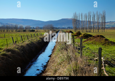 Canal de drainage et clôturé, bande riveraine, près de plaines Taieri Dunedin, île du Sud, Nouvelle-Zélande Banque D'Images