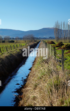 Canal de drainage et clôturé, bande riveraine, près de plaines Taieri Dunedin, île du Sud, Nouvelle-Zélande Banque D'Images