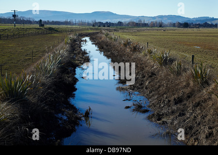 Canal de drainage et planté de riverains, des plaines, près de Dunedin Taieri, île du Sud, Nouvelle-Zélande Banque D'Images