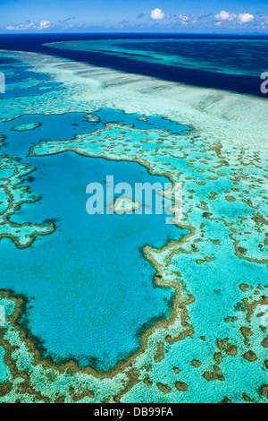 Vue aérienne de 'Coeur de Corail", une formation de corail en forme de cœur au récif Hardys. Great Barrier Reef Marine Park Banque D'Images