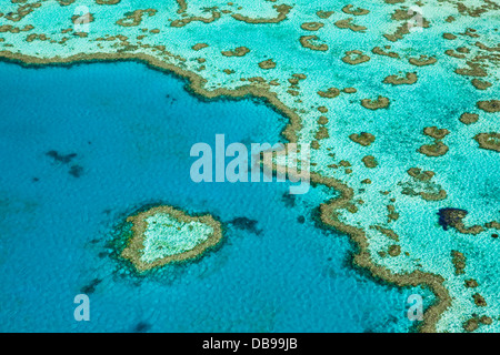 Vue aérienne de 'Coeur de Corail", une formation de corail en forme de cœur au récif Hardys. Great Barrier Reef Marine Park Banque D'Images
