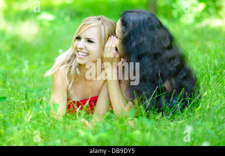 Deux copines chuchotant lying on grass Banque D'Images