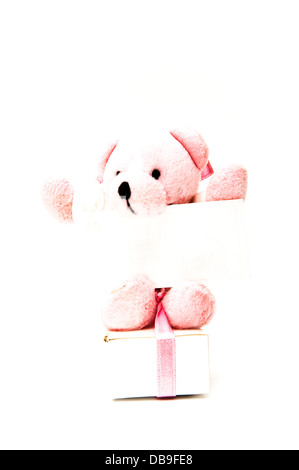 Ours en peluche avec signe sur un fond blanc Banque D'Images