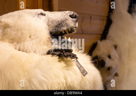 Un ours polaire en peluche dans un magasin à Longyearbyen au Spitzberg, Svalbard. Banque D'Images