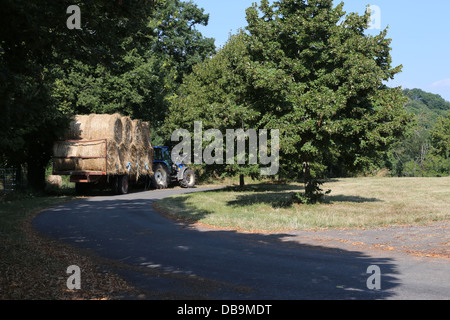 Bottes de foin dans St Martial, Varen, Tarn et Garonne, France Banque D'Images