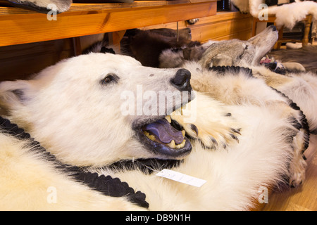 Un ours polaire en peluche dans un magasin à Longyearbyen au Spitzberg, Svalbard. Banque D'Images