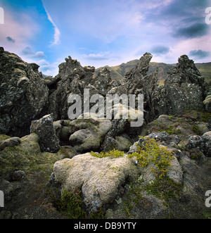 Champ de lave volcanique en Islande de basalte noir du paysage rock recouverts de mousse Banque D'Images