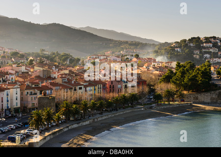 Vue sur le port d'Avall Beach à Collioure, Pyrénées Orientales, Languedoc Roussillon, France Banque D'Images