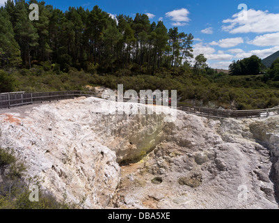 Dh Wai O Tapu WAIOTAPU Thermal Wonderland touristique de la Nouvelle-Zélande dans le passage libre à travers un paysage volcanique de cratère géothermique Birds Nest Banque D'Images