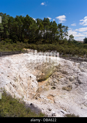 Dh Wai O Tapu WAIOTAPU Thermal Wonderland touristique de la Nouvelle-Zélande dans le passage libre à travers un paysage volcanique de cratère géothermique Birds Nest Banque D'Images