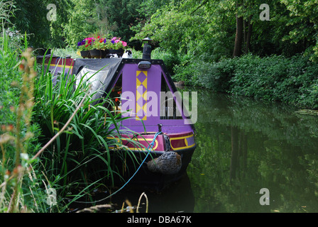 Grand classique sur le canal d'Oxford, Oxfordshire Royaume-Uni Banque D'Images